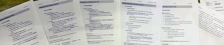 Definitionen und Prüfungsschemata Strafrecht